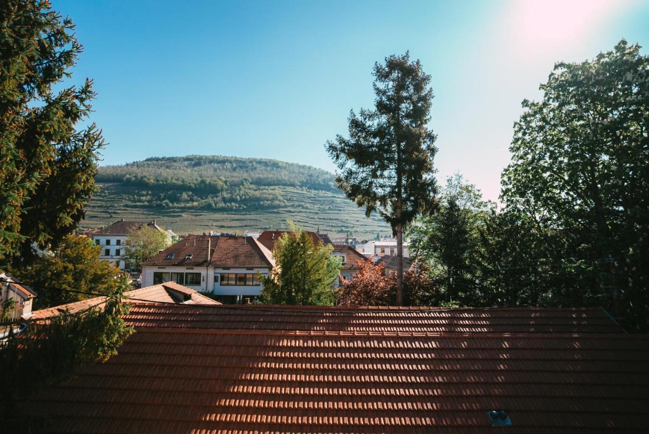 Апартаменты Domaine Boheme I Art De Vivre Гебвиллер Экстерьер фото